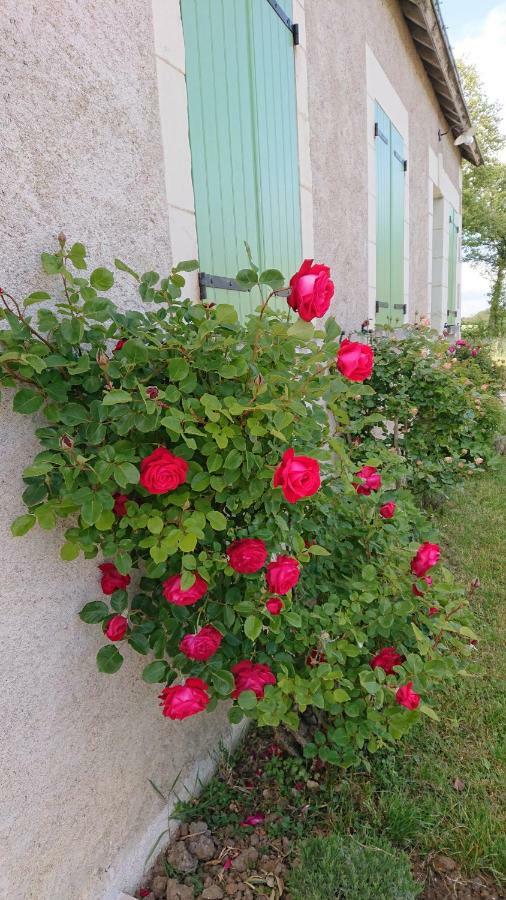 Saint-Jean-Saint-GermainLongere Du Sud Touraine Au Coeur Du Val De Loire别墅 外观 照片