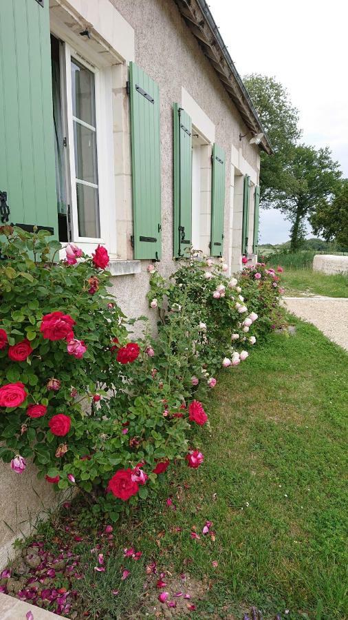 Saint-Jean-Saint-GermainLongere Du Sud Touraine Au Coeur Du Val De Loire别墅 外观 照片